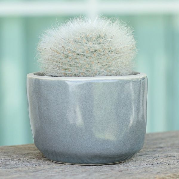 Alternate image for Handcrafted Ceramic Flower Pot with Polished Grey Surface Grey Bud