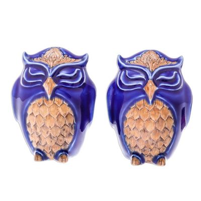 Alternate image for Ceramic Owl Salt and Pepper Shakers in Blue Pair Calm Owls in Blue