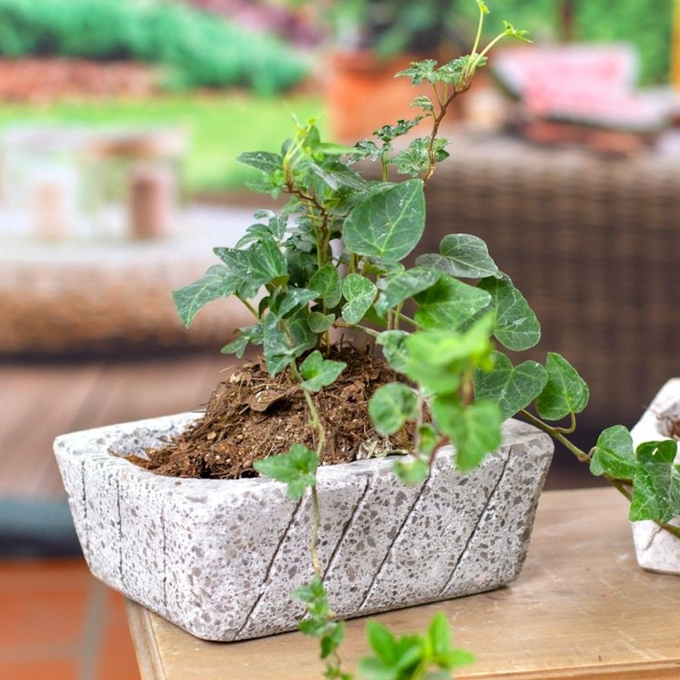 Striped Rectangular Reclaimed Stone Flower Pot from Mexico 'Striped Gardener'