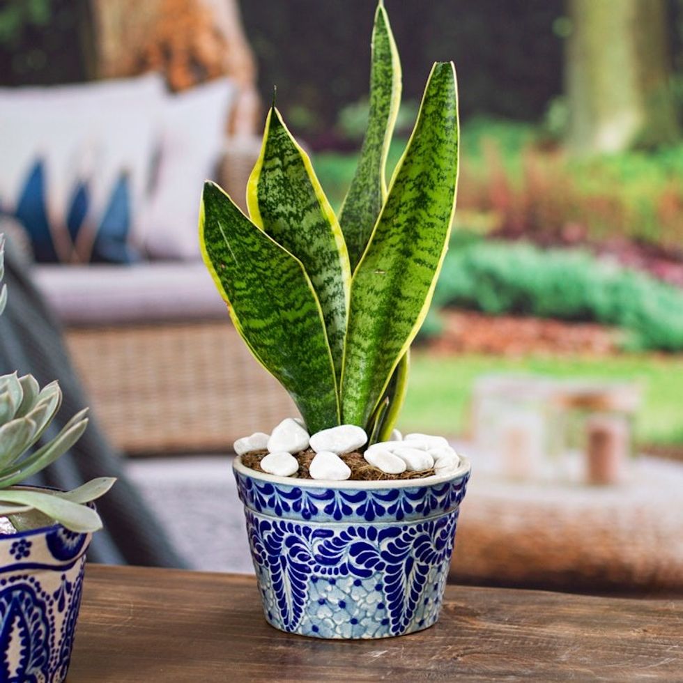 Blue and Off-White Ceramic Planter 'Cobalt Flourish'