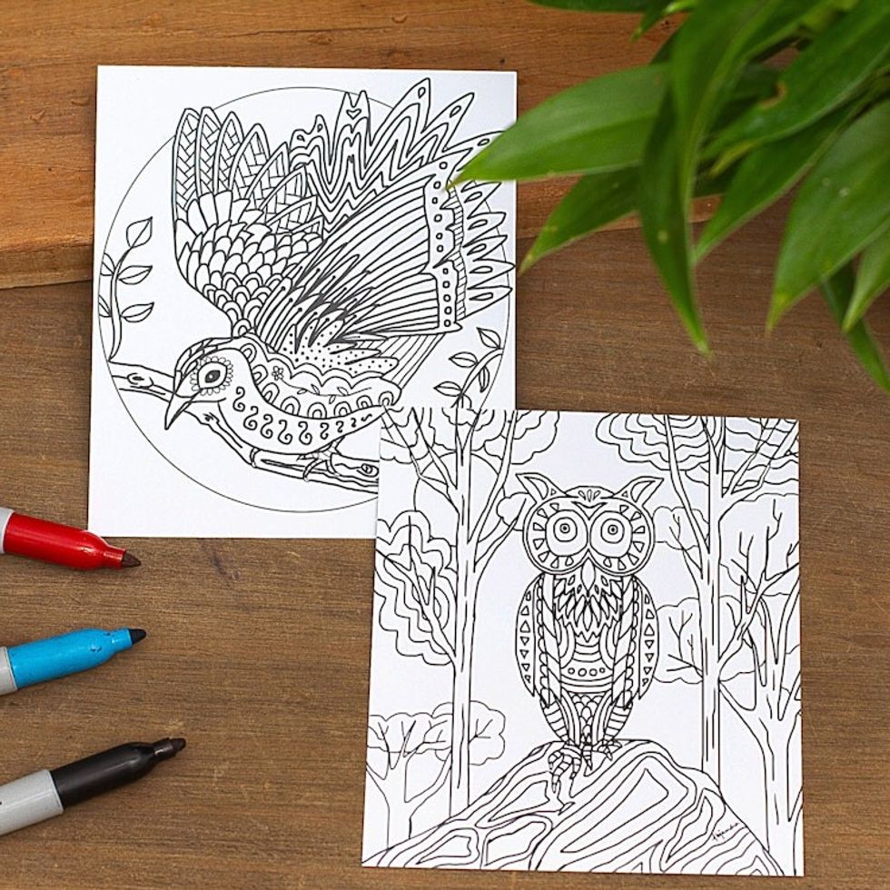 Mexican Bird Themed Coloring Postcards Pair 'Bird Enchantment'