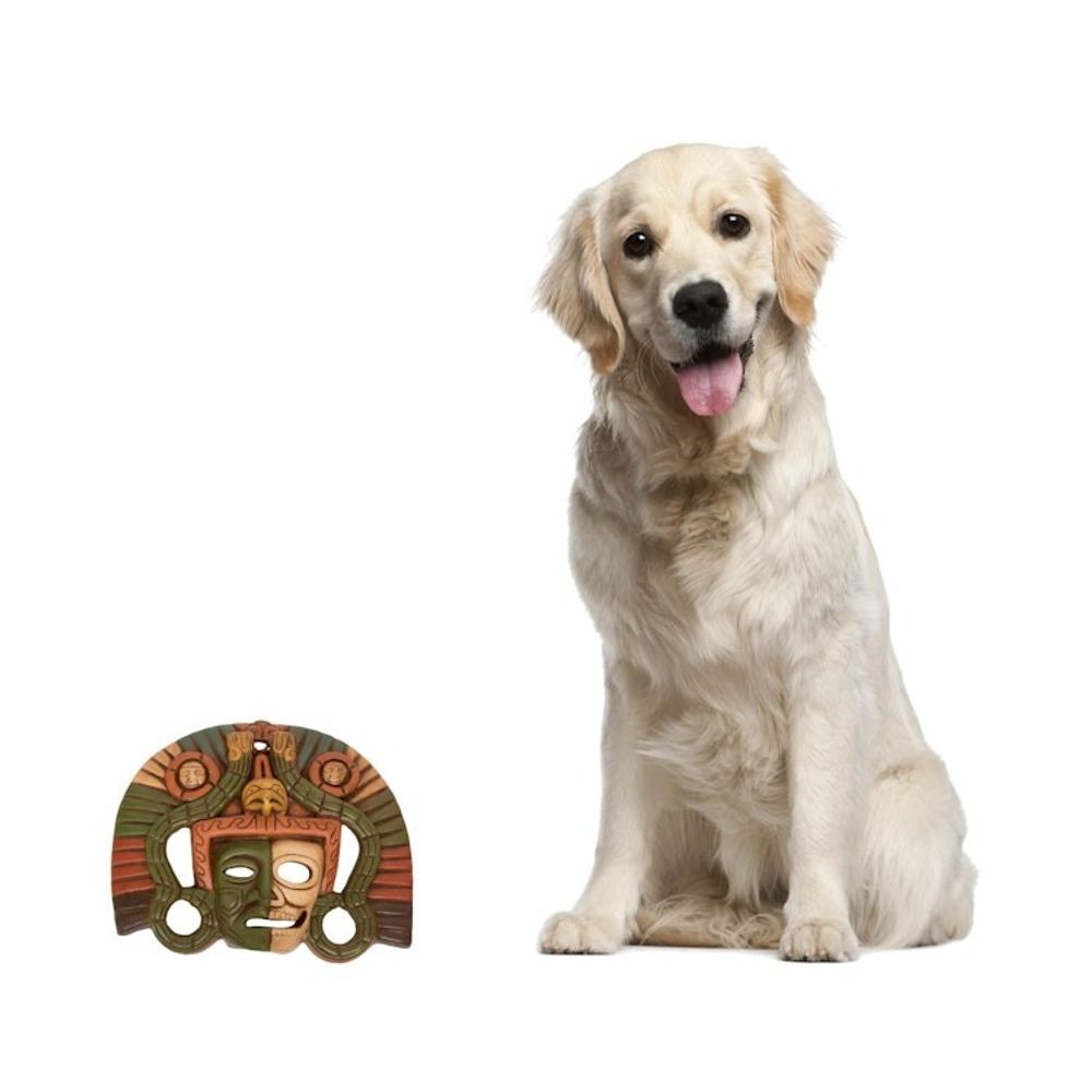 Alternate item image