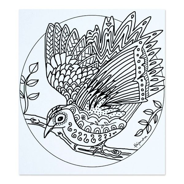 Alternate image for Mexican Bird Themed Coloring Postcards Pair Bird Enchantment