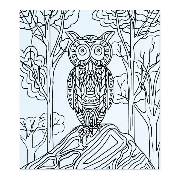 Alternate image for Mexican Bird Themed Coloring Postcards Pair Bird Enchantment
