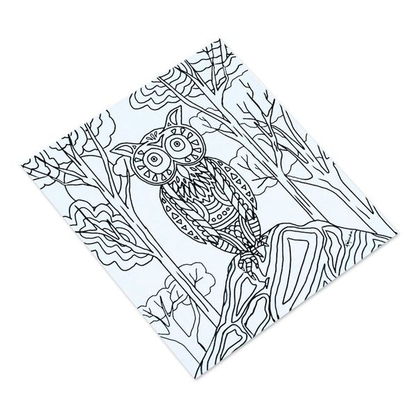 Alternate image for Mexican Bird Themed Coloring Postcards Pair Bird Enchantment