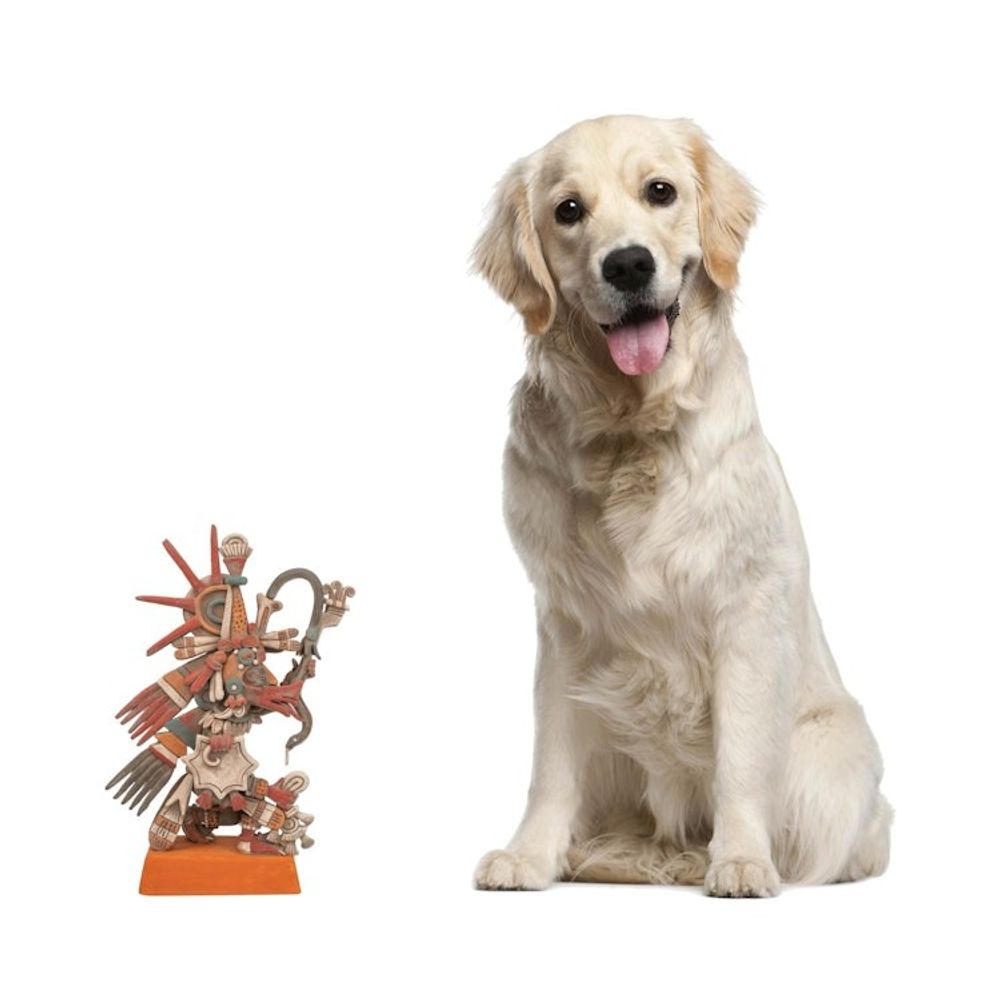 Alternate item image