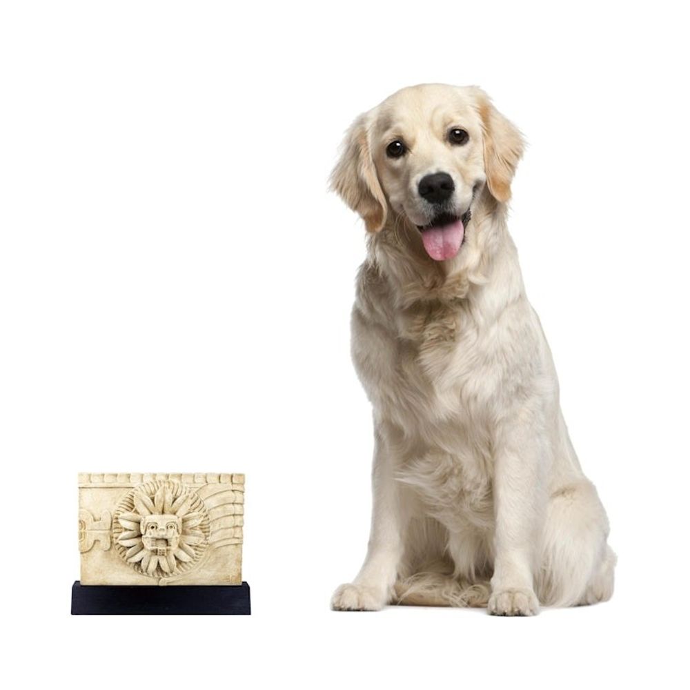 Alternate item image