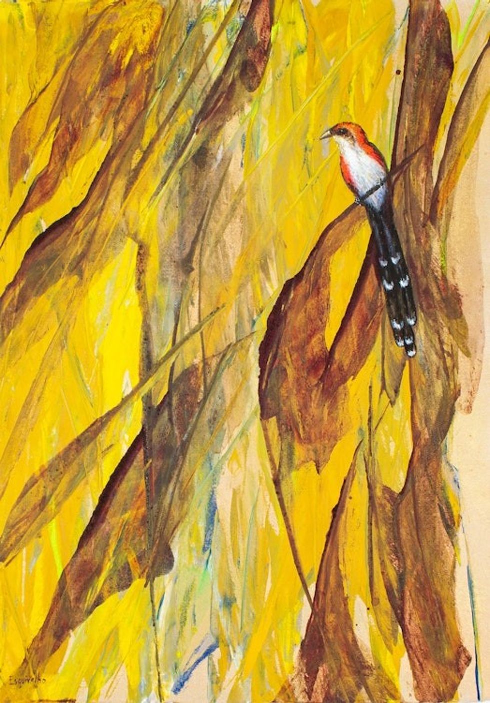 Acrylic and Dyes on Paper Painting of Cuckoo Bird in A Tree 'Cuckoo in Eucalyptus Tree'