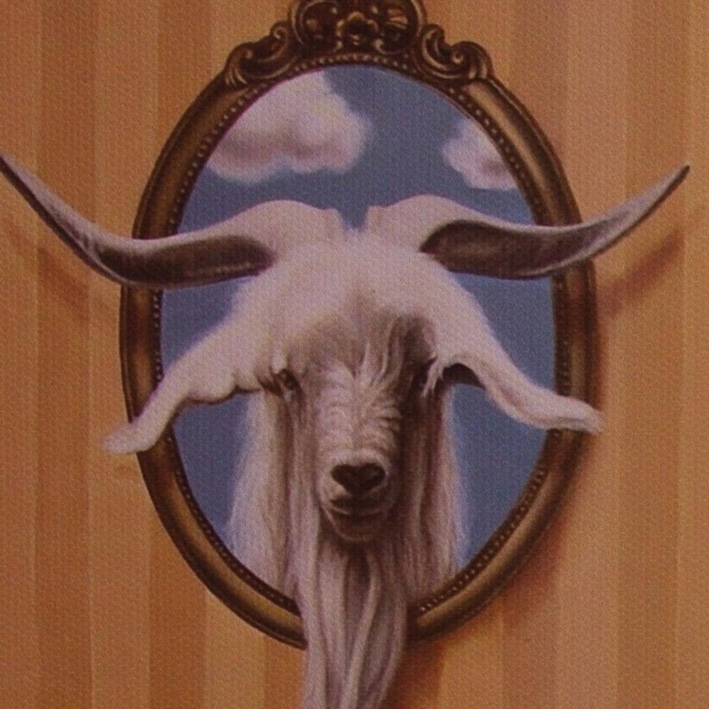 Alternate item image