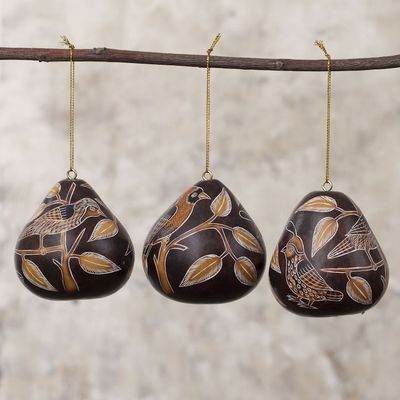 Alternate image for Peruvian Handmade Dried Mate Gourd Bird Ornaments set of 3 Sun Birds