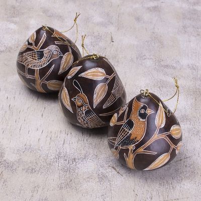 Alternate image for Peruvian Handmade Dried Mate Gourd Bird Ornaments set of 3 Sun Birds