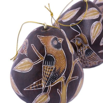 Alternate image for Peruvian Handmade Dried Mate Gourd Bird Ornaments set of 3 Sun Birds