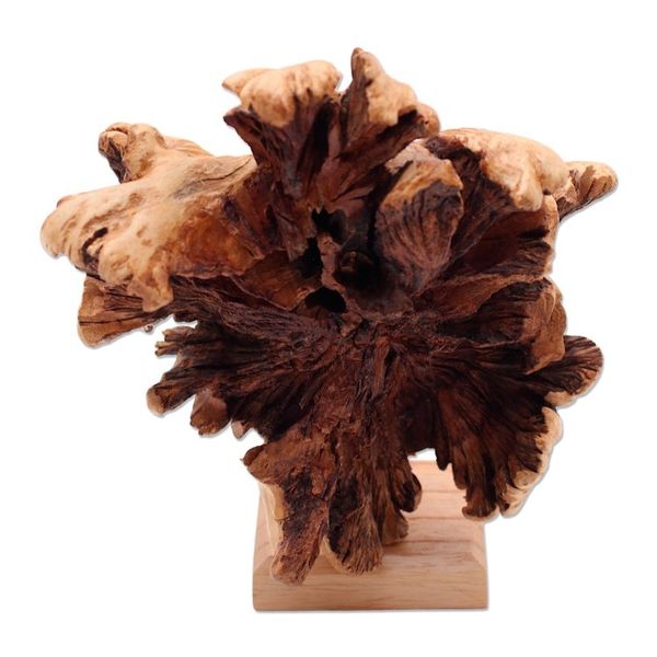 Alternate image for Benalu Wood Lion Sculpture on Stand Emerging Lion
