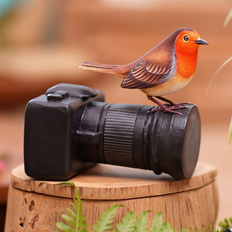 Suar Wood Bird Statuette with Camera Motif 'Robin's Photo Shoot'