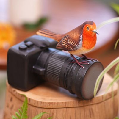 Alternate image for Suar Wood Bird Statuette with Camera Motif Robins Photo Shoot