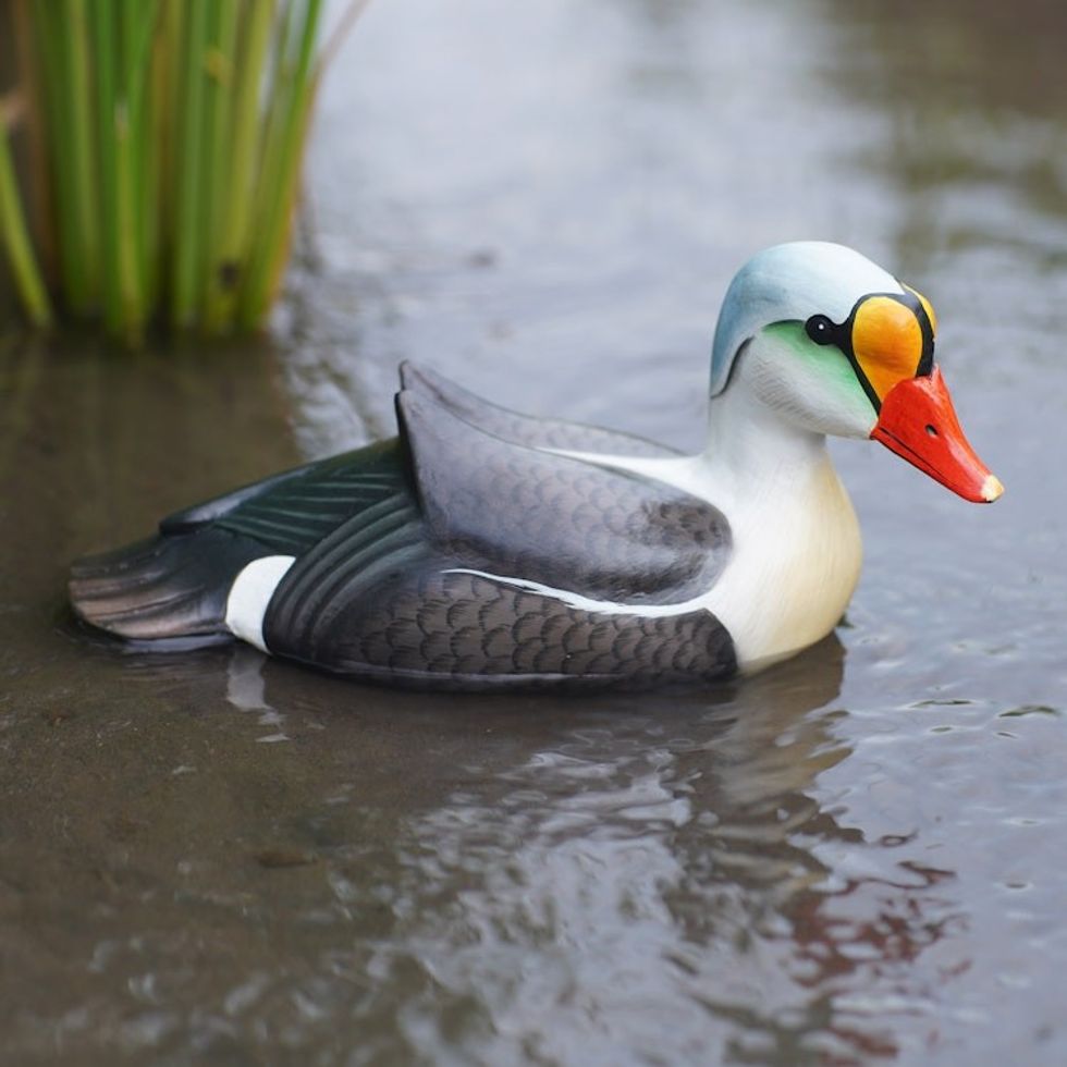 Hand Crafted Suar Wood Duck Statuette 'King Eider'