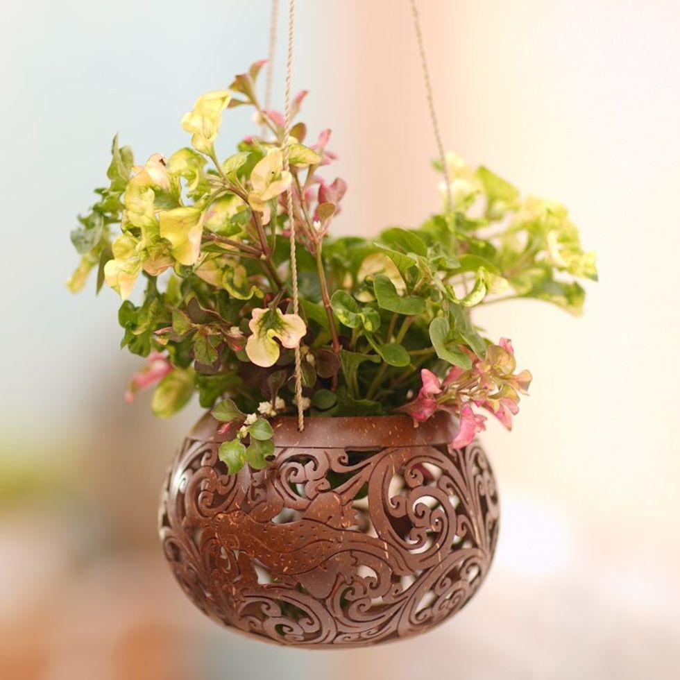 Hand Made Coconut Shell Hanging Planter 'Tropical House in Lizard'