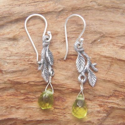 Alternate image for Womens Sterling Silver Dangle Earrings Rainforest