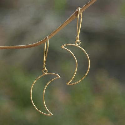 Alternate image for Gold-Plated Crescent Moon Dangle Earrings Moon Money