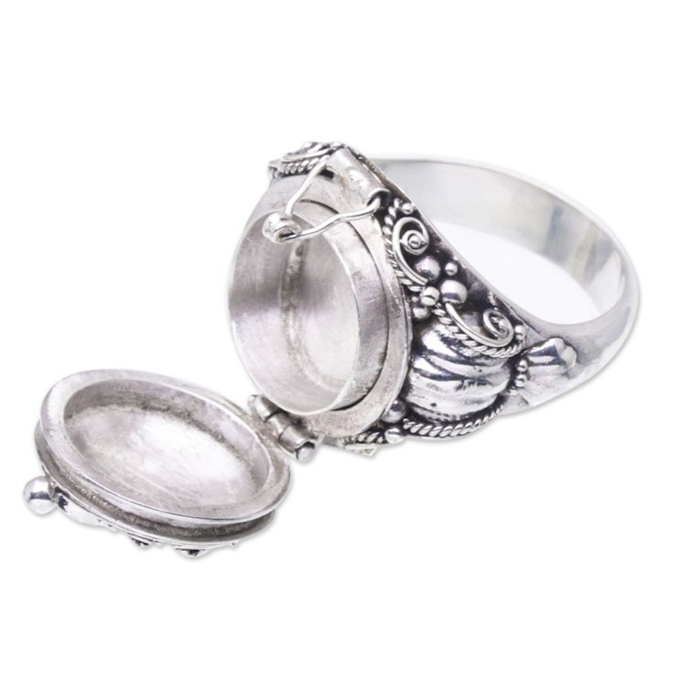 Alternate item image