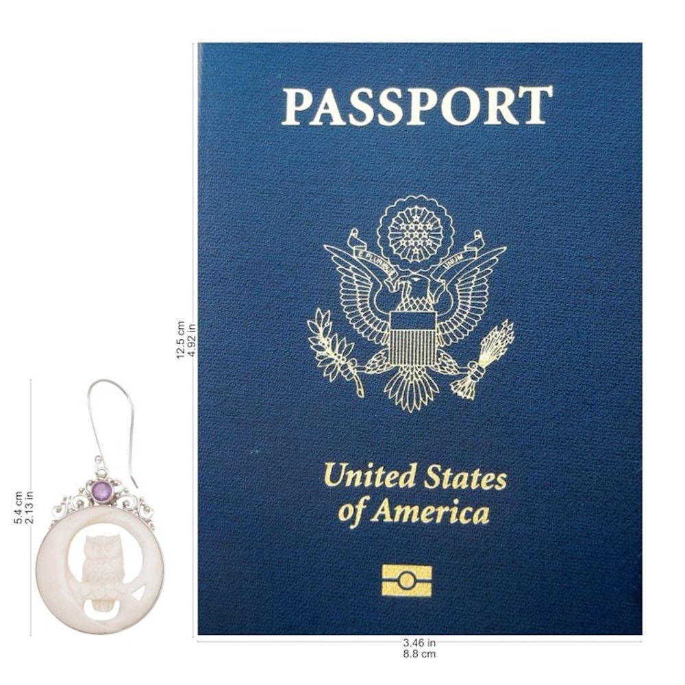 Alternate item image