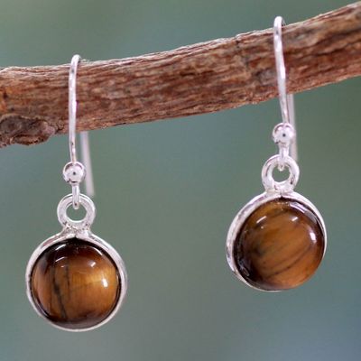 Alternate image for Tigers Eye Earrings Sterling Silver Jewelry Lucky Hunch
