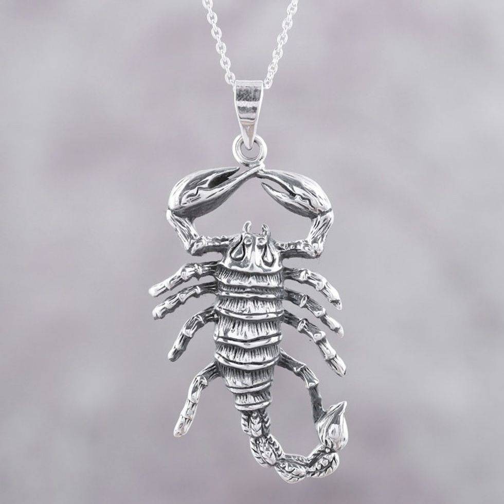 Sterling Silver Scorpion Pendant Necklace from India 'Power of the Scorpion'