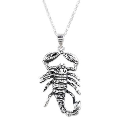 Alternate image for Sterling Silver Scorpion Pendant Necklace from India Power of the Scorpion