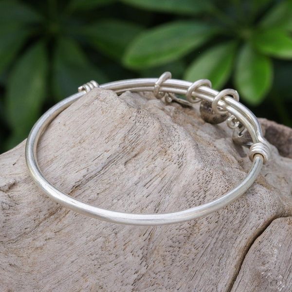 Alternate image for Sterling Silver Garden-Motif Charm Bracelet Garden Sounds