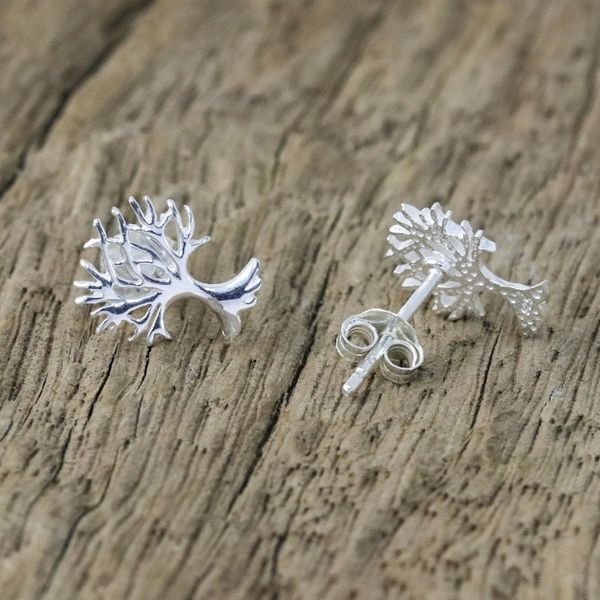 Alternate image for Sterling Silver Tree-Shaped Stud Earrings from Thailand Branches Above