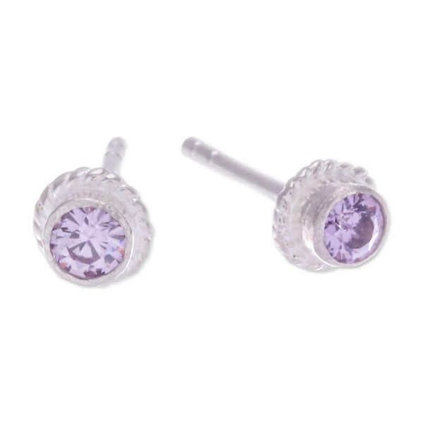 Alternate image for Sterling Silver Stud Earrings with Round Amethyst Gems Wise Elements