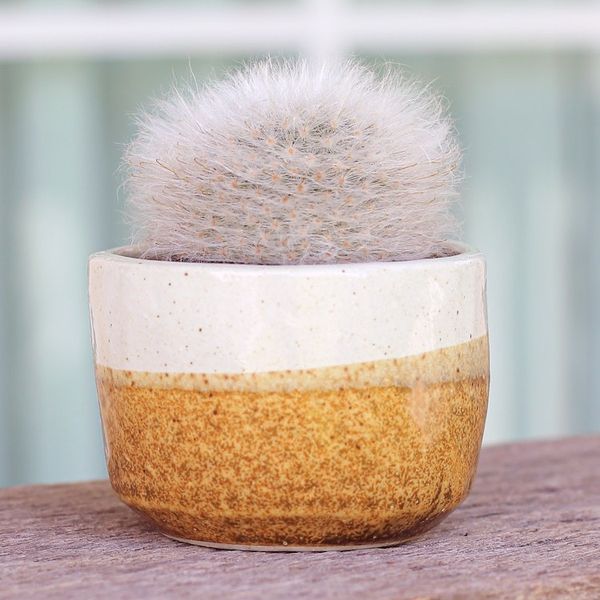 Alternate image for Handcrafted Ceramic Flower Pot with Brown Tones Brown Bud