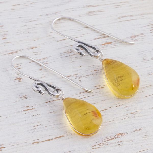Alternate image for Sterling Silver Swan Earrings with Mexican Amber Golden Swan Pond