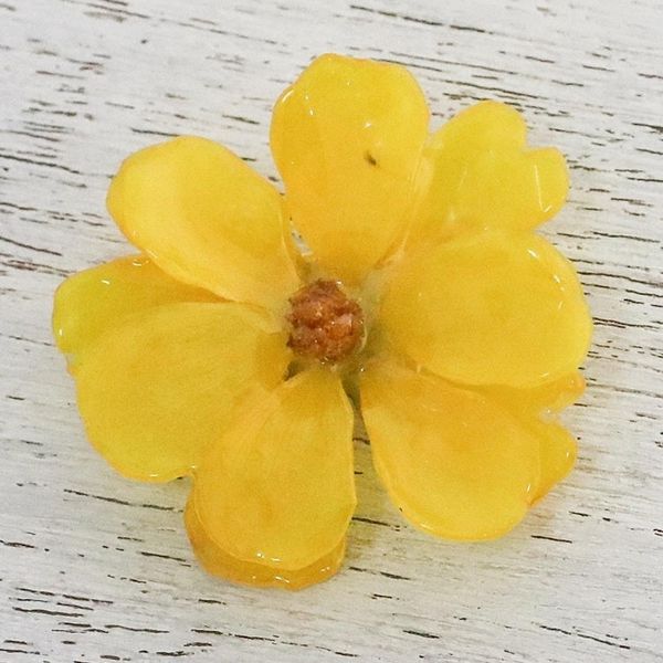 Alternate image for Natural Cosmos Flower Brooch in Goldenrod from Thailand Blooming Cosmos in Goldenrod