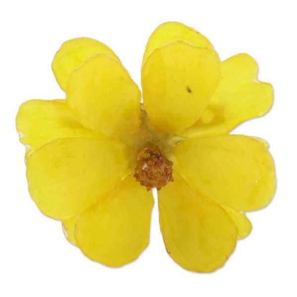 Alternate image for Natural Cosmos Flower Brooch in Goldenrod from Thailand Blooming Cosmos in Goldenrod