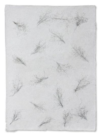 Alternate image for Saa Wrapping Paper Set of 4 Winter Garden
