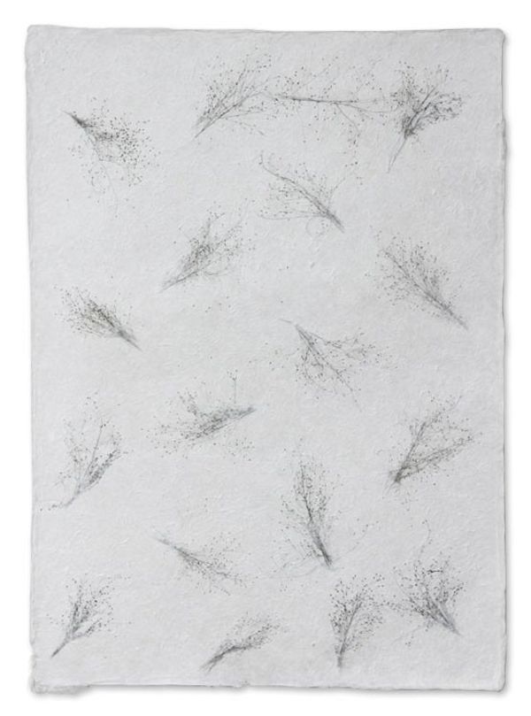 Alternate image for Saa Wrapping Paper Set of 4 Winter Garden