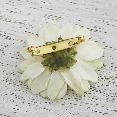 Alternate image for Natural Aster Flower Brooch in Vanilla from Thailand Let It Bloom in Vanilla