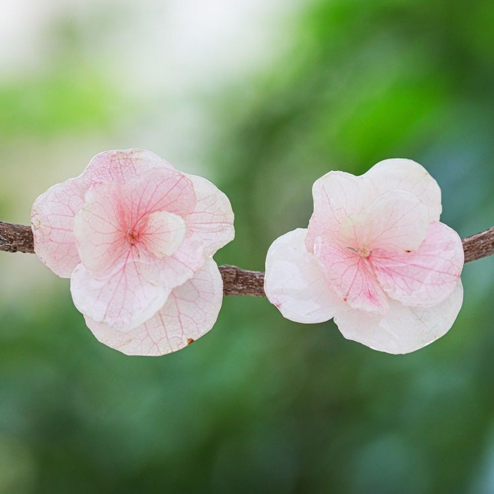 Hydrangea Petal Button Earrings from Thailand 'Blooming Hydrangea'