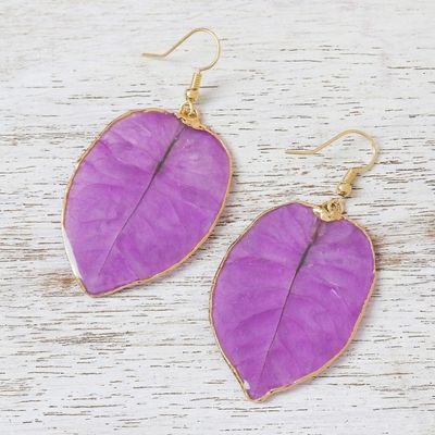Alternate image for Gold Accented Natural Flower Dangle Earrings in Purple Bougainvillea Love in Purple
