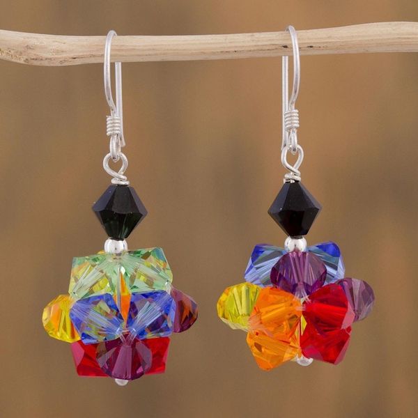 Alternate image for Multicolored Swarovski Crystal Dangle Earrings Colors of Pride