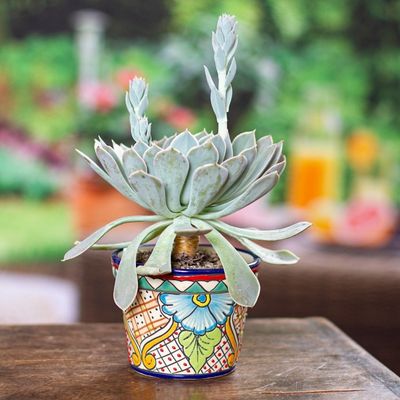 Alternate image for Talavera-Style Ceramic Flower Pot Country Garden