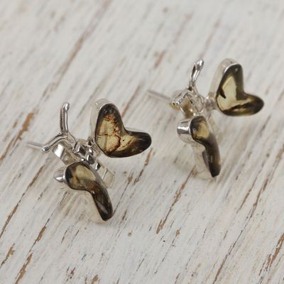 Alternate image for Natural Amber Butterfly Button Earrings from Mexico Ancient Butterfly
