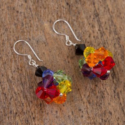 Alternate image for Multicolored Swarovski Crystal Dangle Earrings Colors of Pride