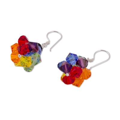 Alternate image for Multicolored Swarovski Crystal Dangle Earrings Colors of Pride