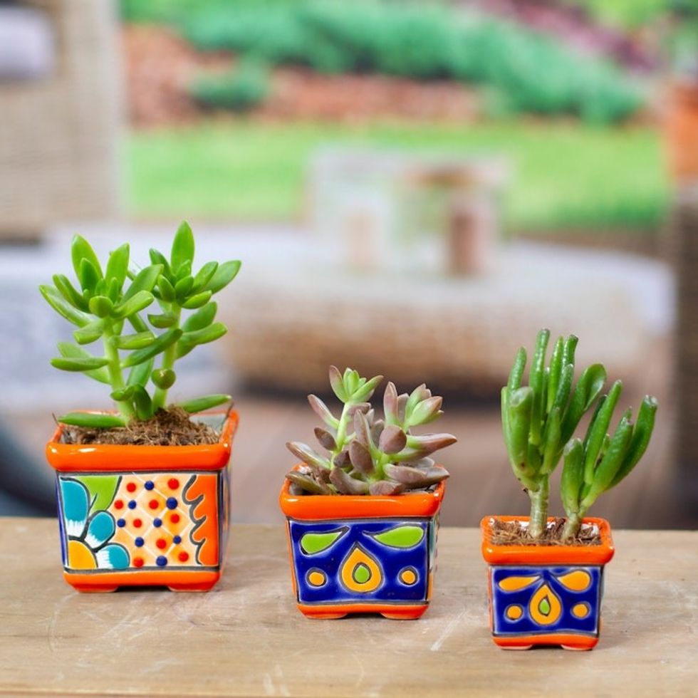 Set of 3 Handmade Hacienda Ceramic Flower Pots in Saffron 'Hacienda Bouquet in Saffron'