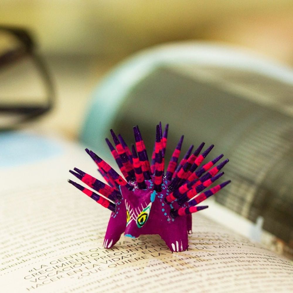 Alternate item image