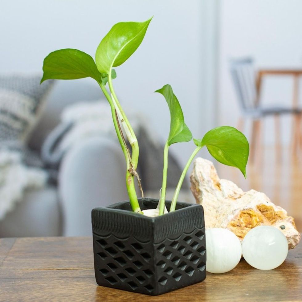 Mexican Handmade Barro Negro Black Ceramic Mini Flower Pot 'Square  Diamonds'