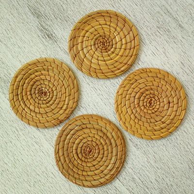 Alternate image for Natural Pine Needle Coasters Set of 4 Forest Cheer