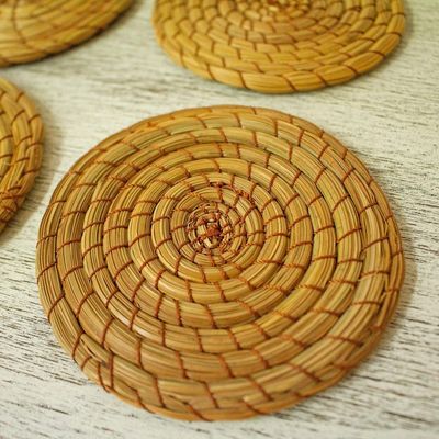 Alternate image for Natural Pine Needle Coasters Set of 4 Forest Cheer